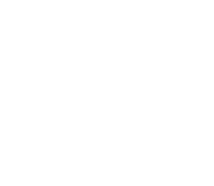 RESET Kinesitherapie logo